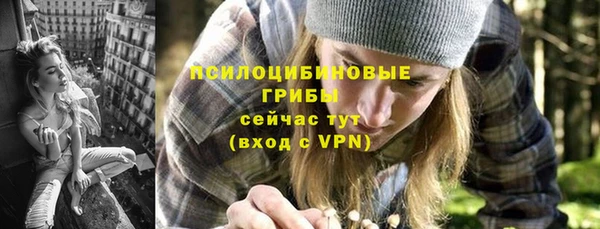 a pvp Абаза