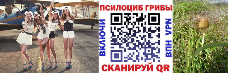 omg маркетплейс  даркнет наркотические препараты  Псилоцибиновые грибы GOLDEN TEACHER  Кандалакша 