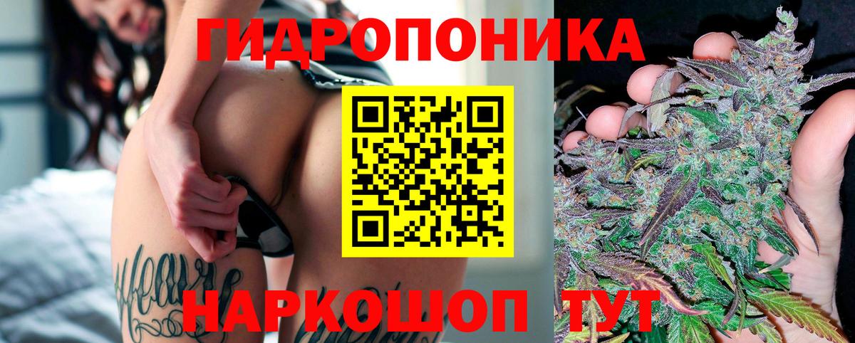 Конопля планчик  Вход с VPN  Конопля план  Конопля VHQ  Кандалакша 